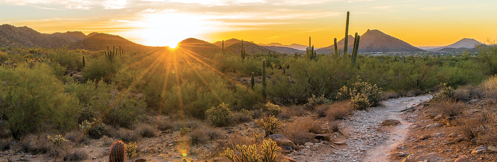 SVP Tucson – Strategic investments in Tucson AZ.