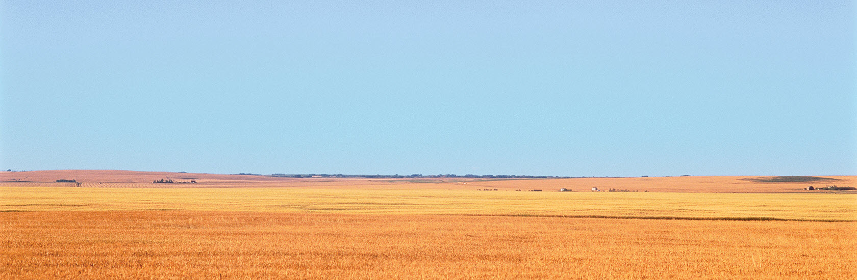 Banner photo