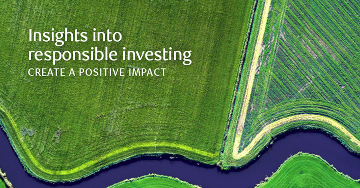 Insights into Responsible Investing Q3 Newsletter image