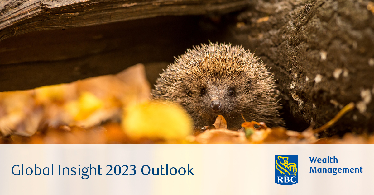 Global Insight 2023 Outlook photo of hedgehog