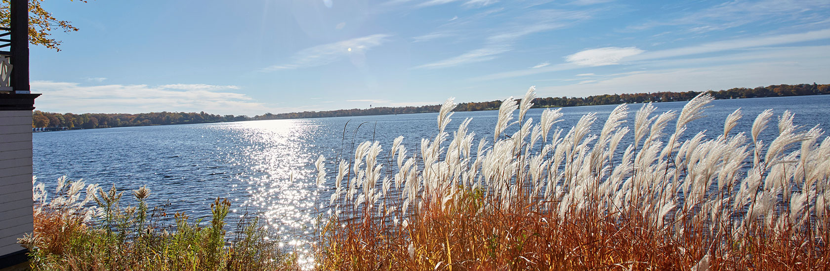 Lake view