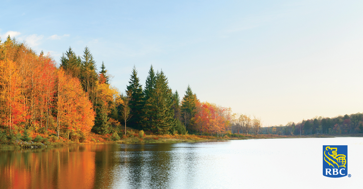 Trees and lake