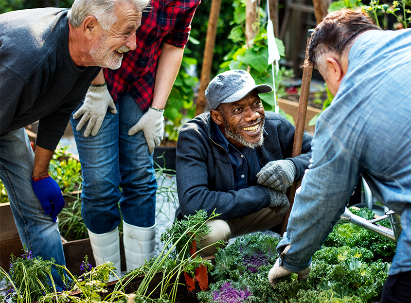 Ensure donors' new DAFs can help achieve their philanthropic goals through setup and planning.