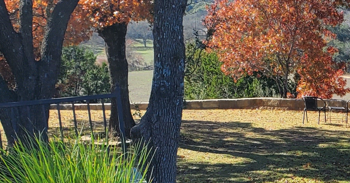 Hill Country Landscape