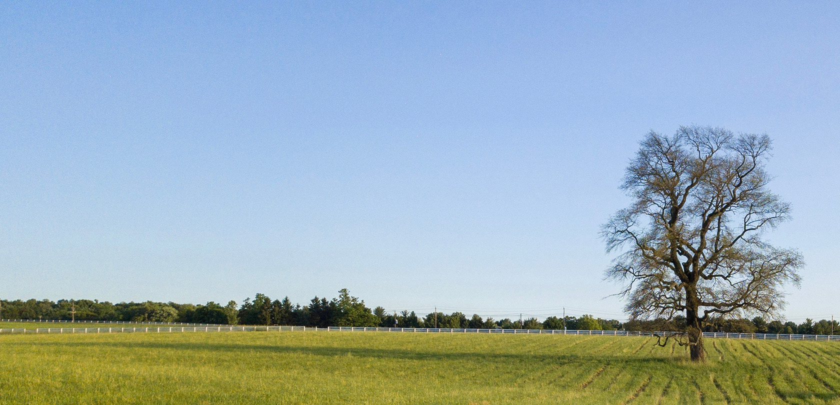 farmland