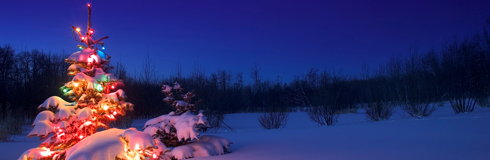 Winter Landscape