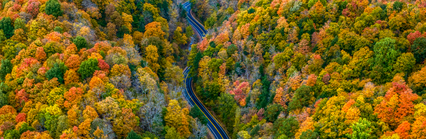 13 Curves - marcellus - syracuse area