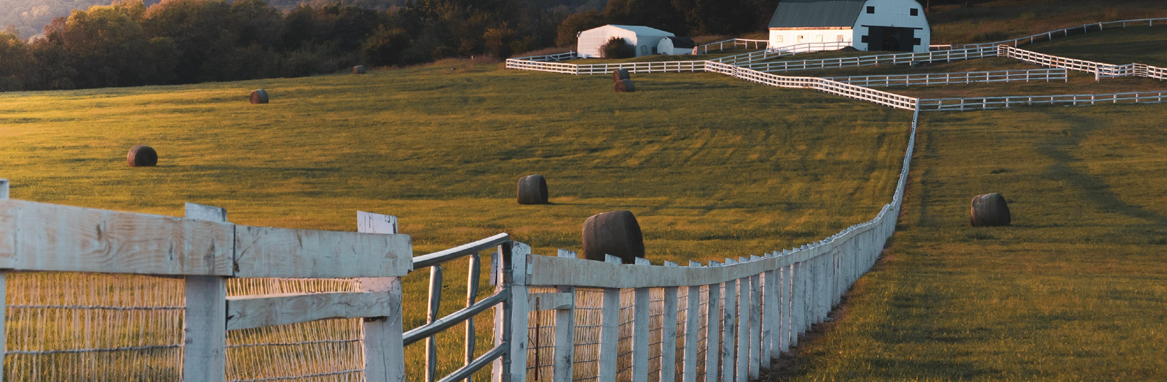 Farm banner image
