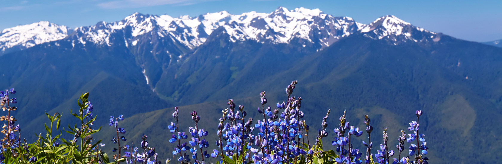 Mountains