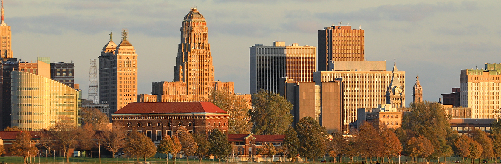 Buffalo image
