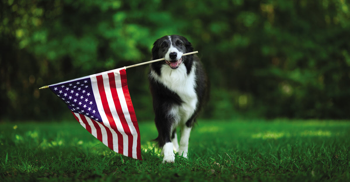 4thOfJuly