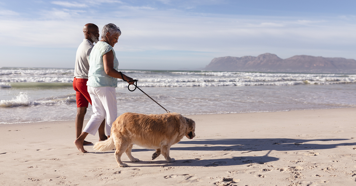 Retired couple walking on the beach with their dog