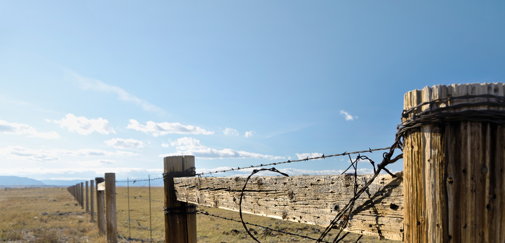 fence