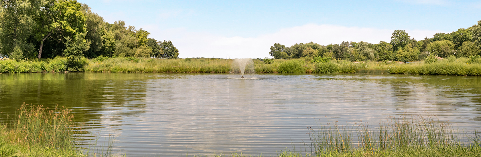 Pond Photo