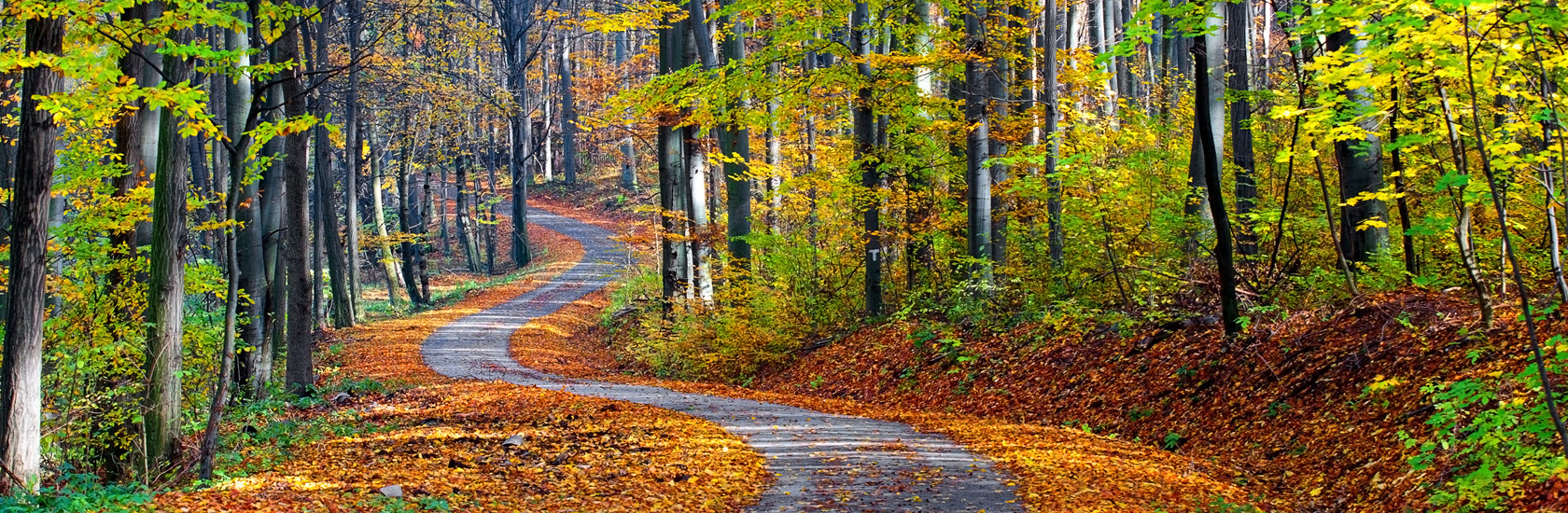 AdobeStock_518103607_1680 x 550