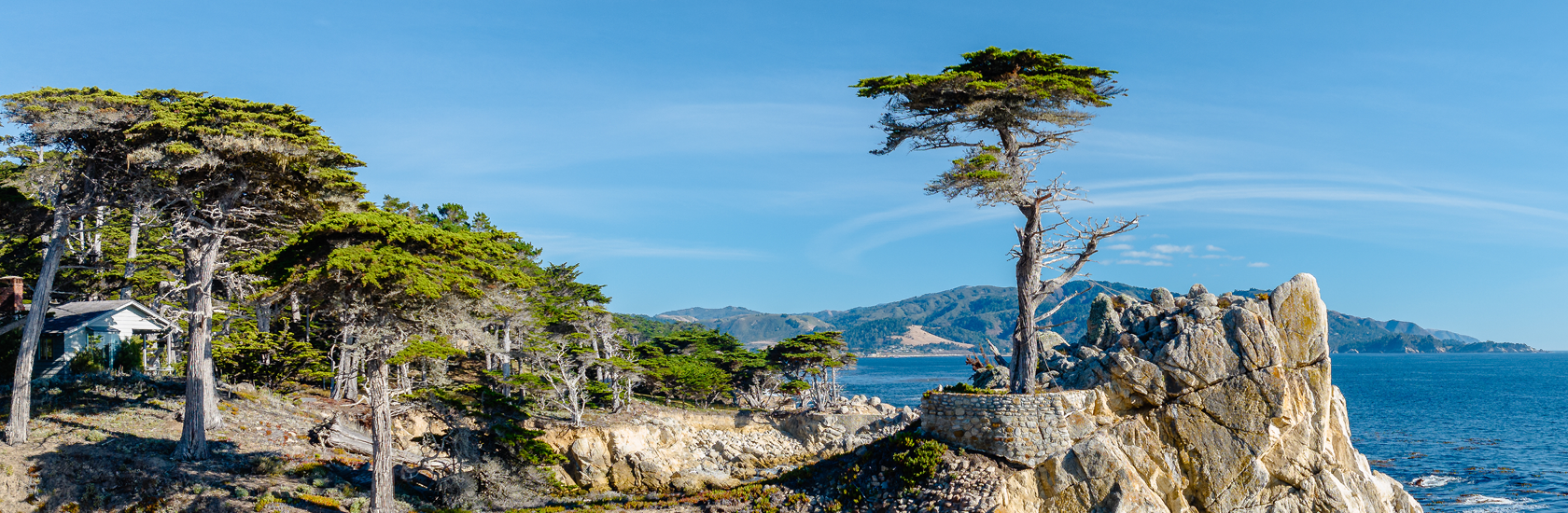 Image of Lone Cypress in California