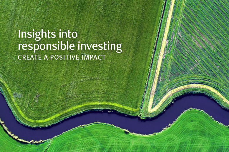 Insights into responsible investing newsletter