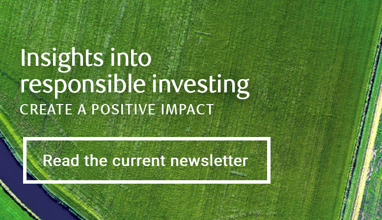 Insights into responsible investing
