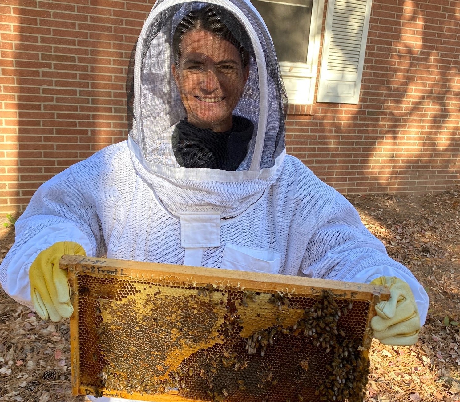 Me with bees