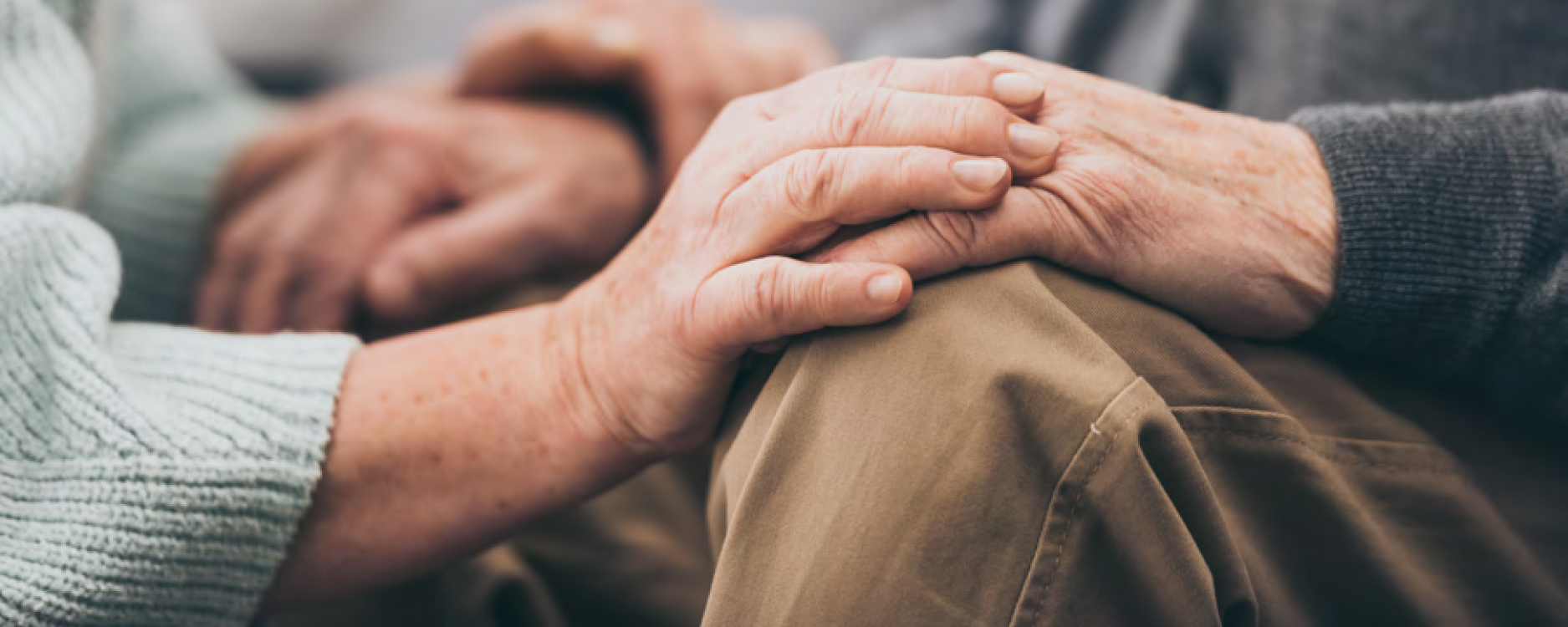 hand holding image