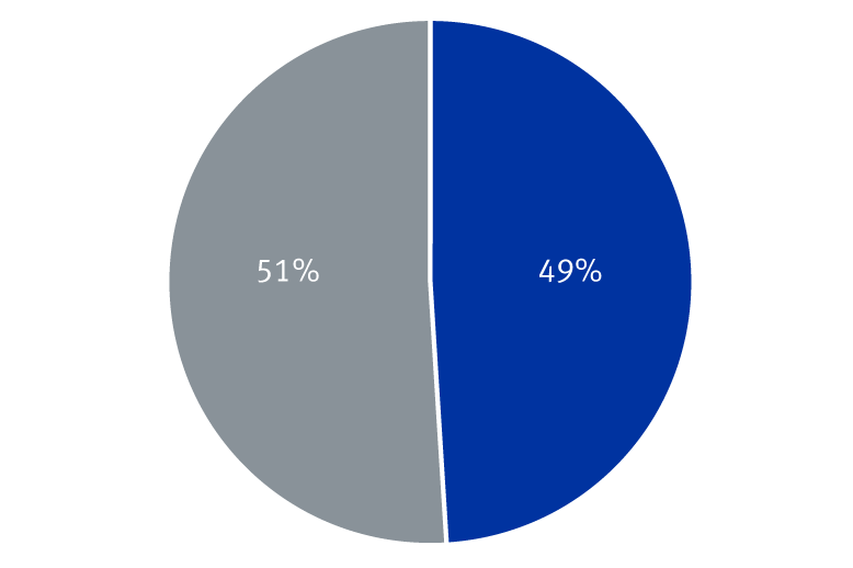 Chart: 49% of companies provided earnings guidance