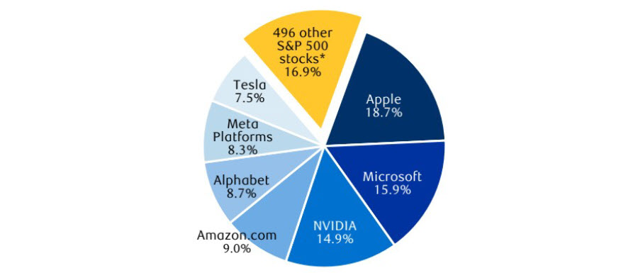 Pie Chart: The S&P 500's total return is 14.2%. Apple represents 18.7% of that return, Microsoft 15.9%. NVIDIA 14.9% Amazon.com 9% Alphabet 8.7% Meta Platforms 8.3% Tesla 7.5 percent. The Big 7 collectively represents 83.1% of the index's total return.
