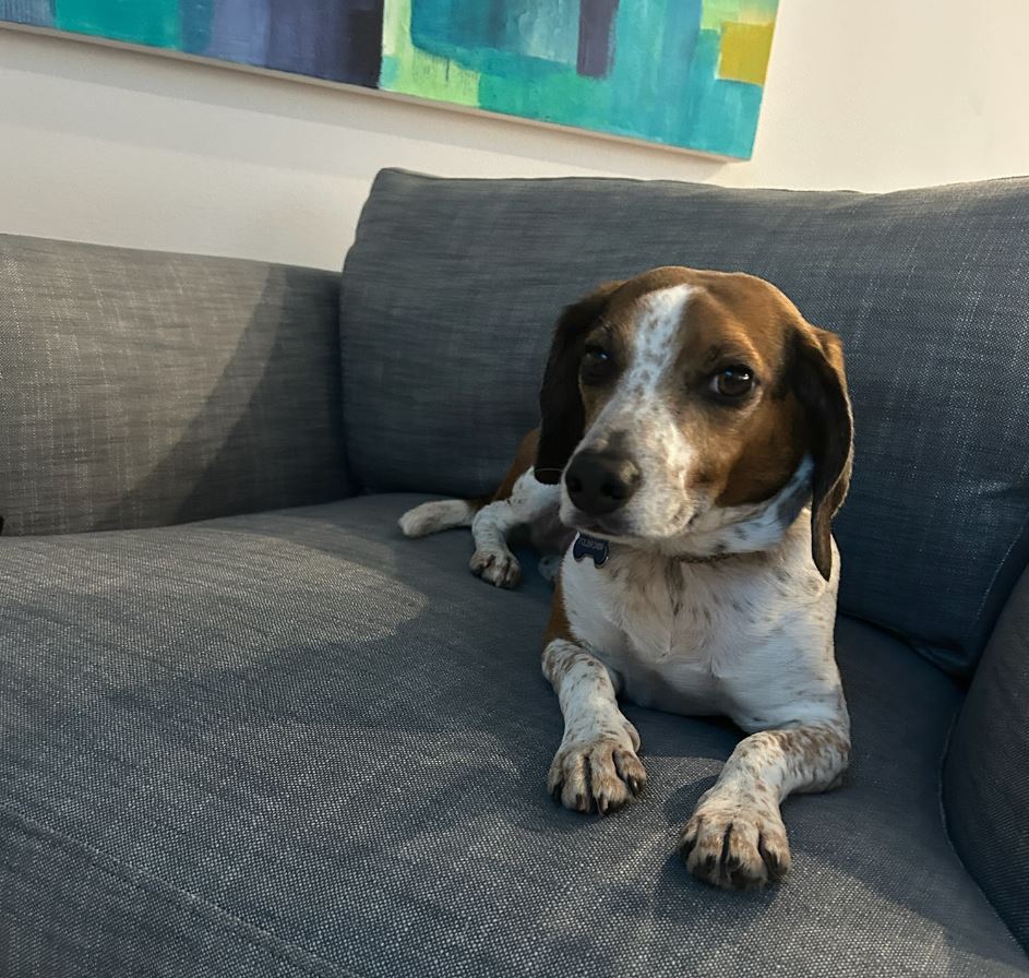 Pickles Couch